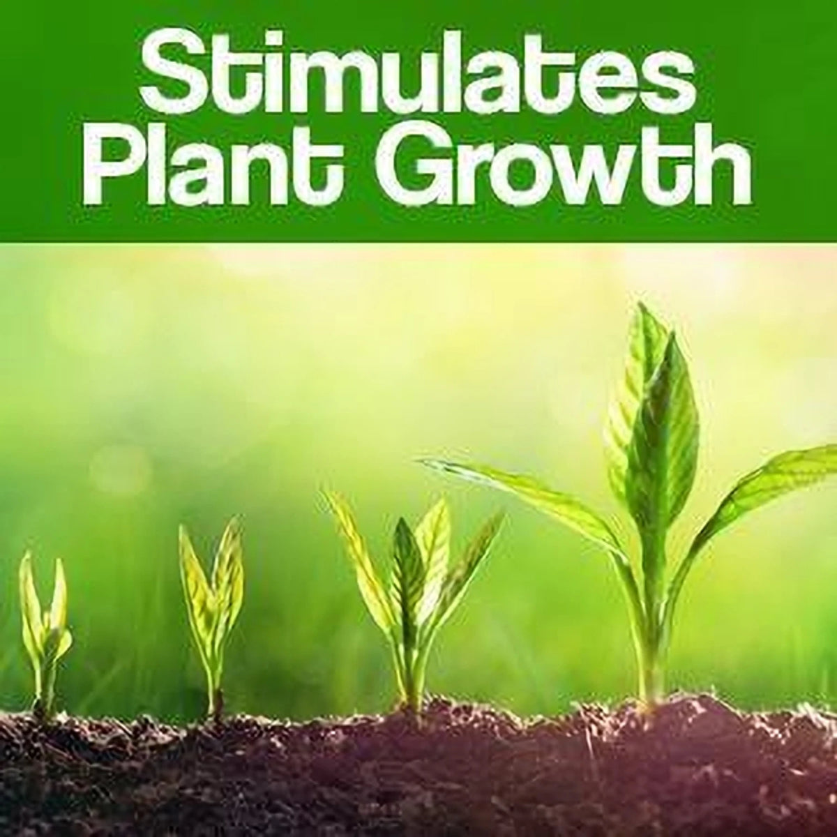 Plant Boost Liquid Biofertilizer for All Crops(Pack of 2)