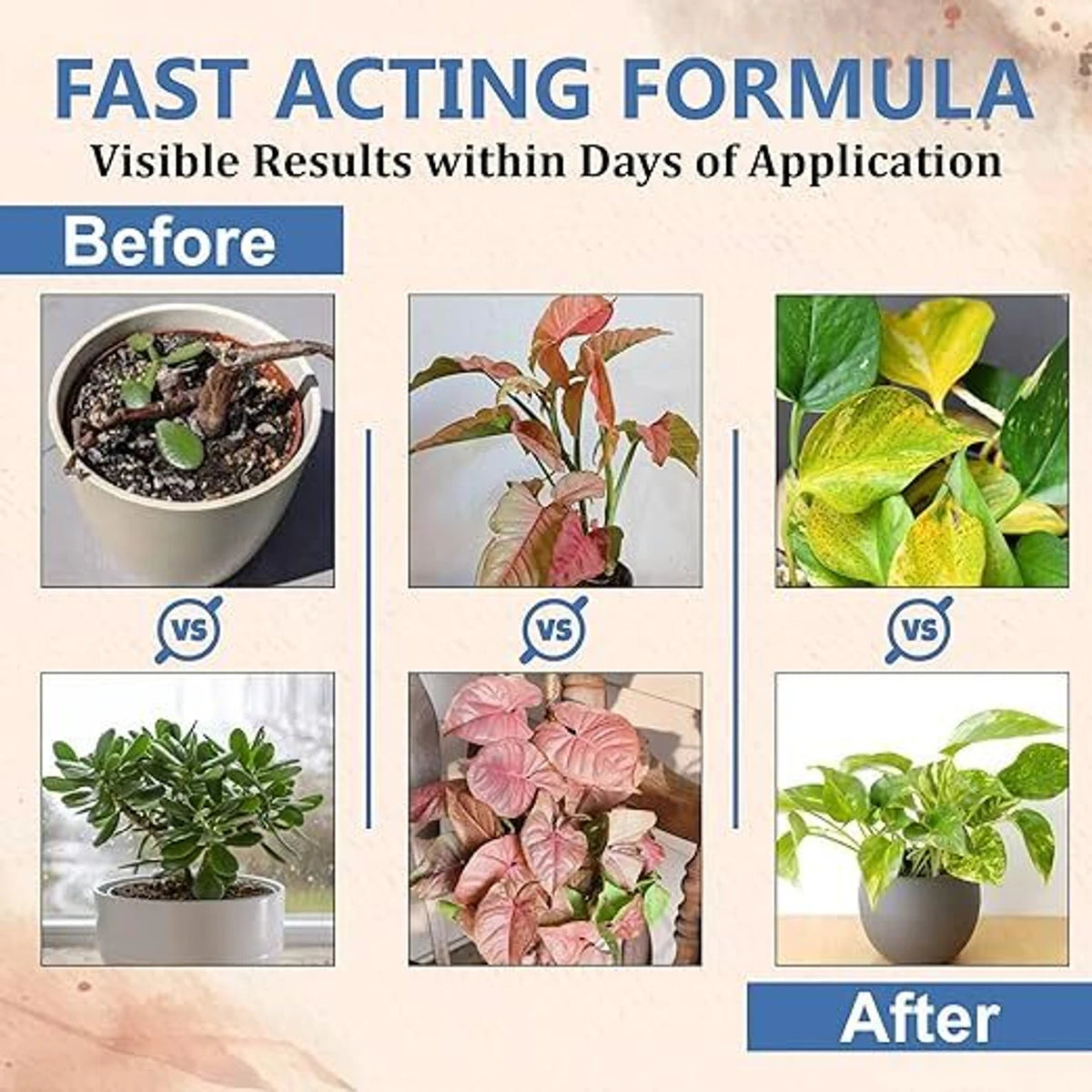 Plant Boost Liquid Biofertilizer for All Crops(Pack of 2)